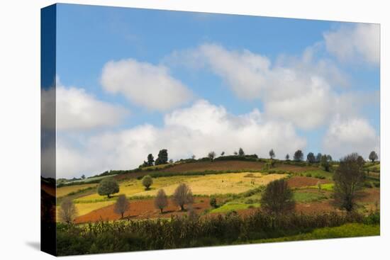 Farmland with Mustard Field, Shan State, Myanmar-Keren Su-Stretched Canvas