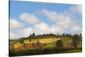 Farmland with Mustard Field, Shan State, Myanmar-Keren Su-Stretched Canvas