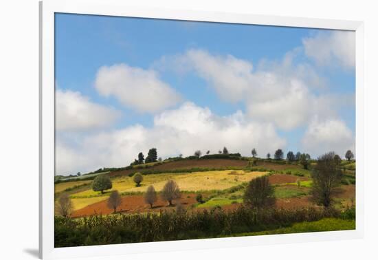 Farmland with Mustard Field, Shan State, Myanmar-Keren Su-Framed Photographic Print