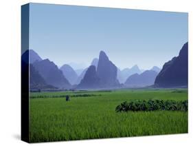 Farmland with the Famous Limestone Mountains of Guilin, Guangxi Province, China-Charles Sleicher-Stretched Canvas