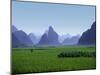 Farmland with the Famous Limestone Mountains of Guilin, Guangxi Province, China-Charles Sleicher-Mounted Photographic Print