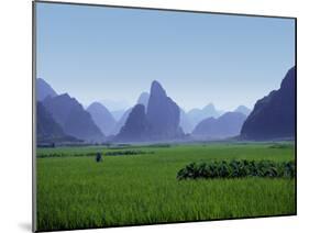 Farmland with the Famous Limestone Mountains of Guilin, Guangxi Province, China-Charles Sleicher-Mounted Photographic Print