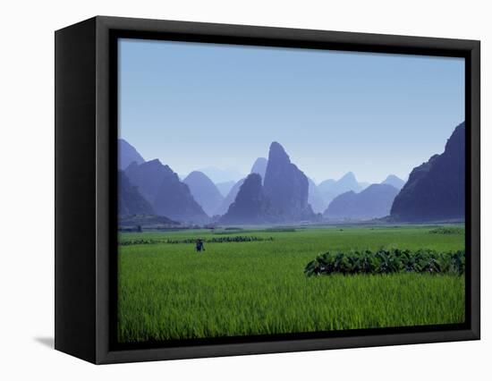 Farmland with the Famous Limestone Mountains of Guilin, Guangxi Province, China-Charles Sleicher-Framed Stretched Canvas