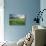 Farmland with Wheat Crop, Northern Ireland, UK, June 2011-Ben Hall-Photographic Print displayed on a wall