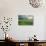 Farmland with Wheat Crop, Northern Ireland, UK, June 2011-Ben Hall-Photographic Print displayed on a wall