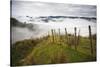 Farmlands in Whakahoro, in the Whanganui NP of New Zealand-Micah Wright-Stretched Canvas