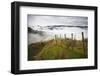 Farmlands in Whakahoro, in the Whanganui NP of New Zealand-Micah Wright-Framed Photographic Print