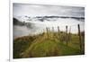 Farmlands in Whakahoro, in the Whanganui NP of New Zealand-Micah Wright-Framed Photographic Print