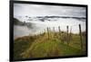 Farmlands in Whakahoro, in the Whanganui NP of New Zealand-Micah Wright-Framed Photographic Print