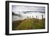 Farmlands in Whakahoro, in the Whanganui NP of New Zealand-Micah Wright-Framed Photographic Print