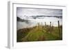 Farmlands in Whakahoro, in the Whanganui NP of New Zealand-Micah Wright-Framed Photographic Print