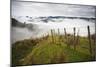 Farmlands in Whakahoro, in the Whanganui NP of New Zealand-Micah Wright-Mounted Photographic Print