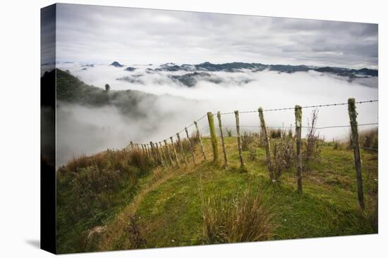 Farmlands in Whakahoro, in the Whanganui NP of New Zealand-Micah Wright-Stretched Canvas