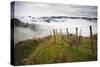 Farmlands in Whakahoro, in the Whanganui NP of New Zealand-Micah Wright-Stretched Canvas