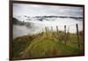 Farmlands in Whakahoro, in the Whanganui NP of New Zealand-Micah Wright-Framed Premium Photographic Print
