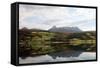 Farms Along the Shores of Balsfjord, Troms, North Norway, Norway, Scandinavia, Europe-David Lomax-Framed Stretched Canvas