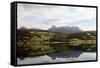 Farms Along the Shores of Balsfjord, Troms, North Norway, Norway, Scandinavia, Europe-David Lomax-Framed Stretched Canvas