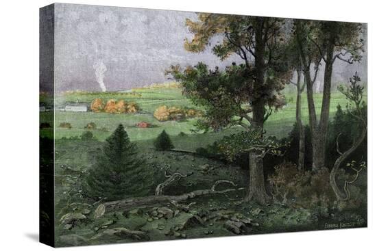 Stretched Canvas Print, , large