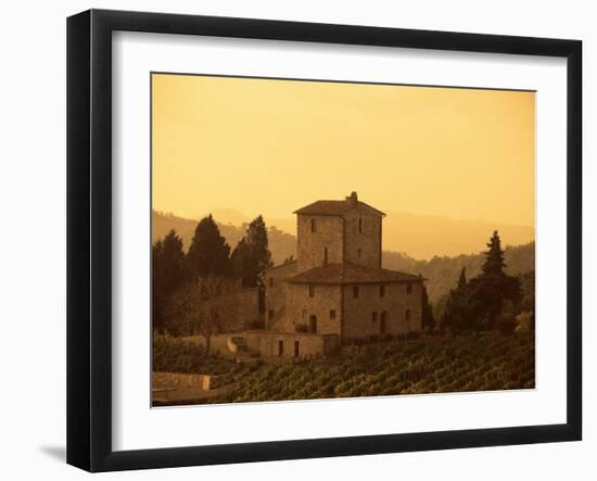 Farms and Vines, Tuscany, Italy-J Lightfoot-Framed Premium Photographic Print