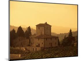 Farms and Vines, Tuscany, Italy-J Lightfoot-Mounted Photographic Print