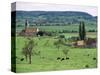 Farms Near Vieux-Pont-En-Ange, Near Boissey, Basse Normandie (Normandy), France-Adam Woolfitt-Stretched Canvas