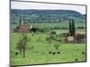 Farms Near Vieux-Pont-En-Ange, Near Boissey, Basse Normandie (Normandy), France-Adam Woolfitt-Mounted Photographic Print