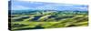 Farmscape Panorama III-James McLoughlin-Stretched Canvas