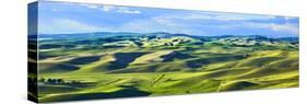 Farmscape Panorama III-James McLoughlin-Stretched Canvas