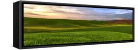 Farmscape Panorama VI-James McLoughlin-Framed Stretched Canvas