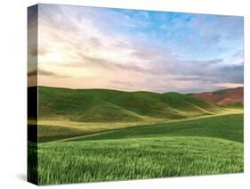 Farmscape Photo V-James McLoughlin-Stretched Canvas