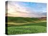 Farmscape Photo V-James McLoughlin-Stretched Canvas