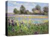 Farmstead and Iris Field, 1992-Timothy Easton-Stretched Canvas
