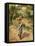 Farmwoman Digging-Camille Pissarro-Framed Stretched Canvas