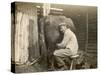 Farmworker Milks a Cow by Hand in a Very Primitive Cow- House-null-Stretched Canvas