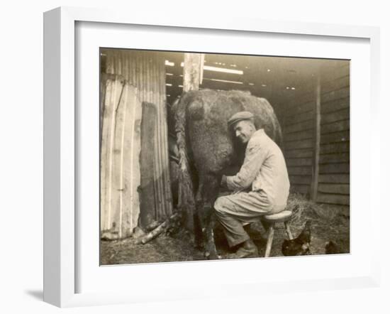 Farmworker Milks a Cow by Hand in a Very Primitive Cow- House-null-Framed Photographic Print