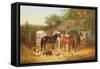 Farmyard Companions-John Frederick Herring Jnr-Framed Stretched Canvas