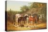 Farmyard Companions-John Frederick Herring Jnr-Stretched Canvas