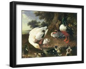 Farmyard Ducks-Melchior de Hondecoeter-Framed Giclee Print