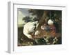 Farmyard Ducks-Melchior de Hondecoeter-Framed Giclee Print