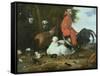 Farmyard Fowls with Pigeons-Melchior de Hondecoeter-Framed Stretched Canvas