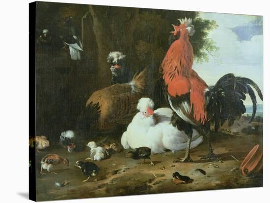 Farmyard Fowls with Pigeons-Melchior de Hondecoeter-Stretched Canvas