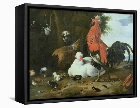 Farmyard Fowls with Pigeons-Melchior de Hondecoeter-Framed Stretched Canvas