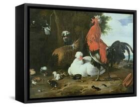 Farmyard Fowls with Pigeons-Melchior de Hondecoeter-Framed Stretched Canvas