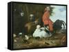 Farmyard Fowls with Pigeons-Melchior de Hondecoeter-Framed Stretched Canvas