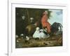 Farmyard Fowls with Pigeons-Melchior de Hondecoeter-Framed Giclee Print