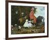 Farmyard Fowls with Pigeons-Melchior de Hondecoeter-Framed Giclee Print