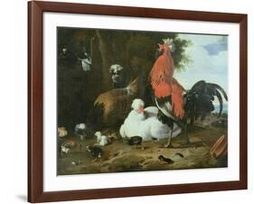 Farmyard Fowls with Pigeons-Melchior de Hondecoeter-Framed Giclee Print