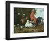 Farmyard Fowls with Pigeons-Melchior de Hondecoeter-Framed Giclee Print