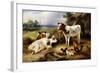 Farmyard Friends, 1923-Walter Hunt-Framed Giclee Print