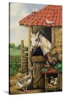 Farmyard Friends-Carl Donner-Stretched Canvas